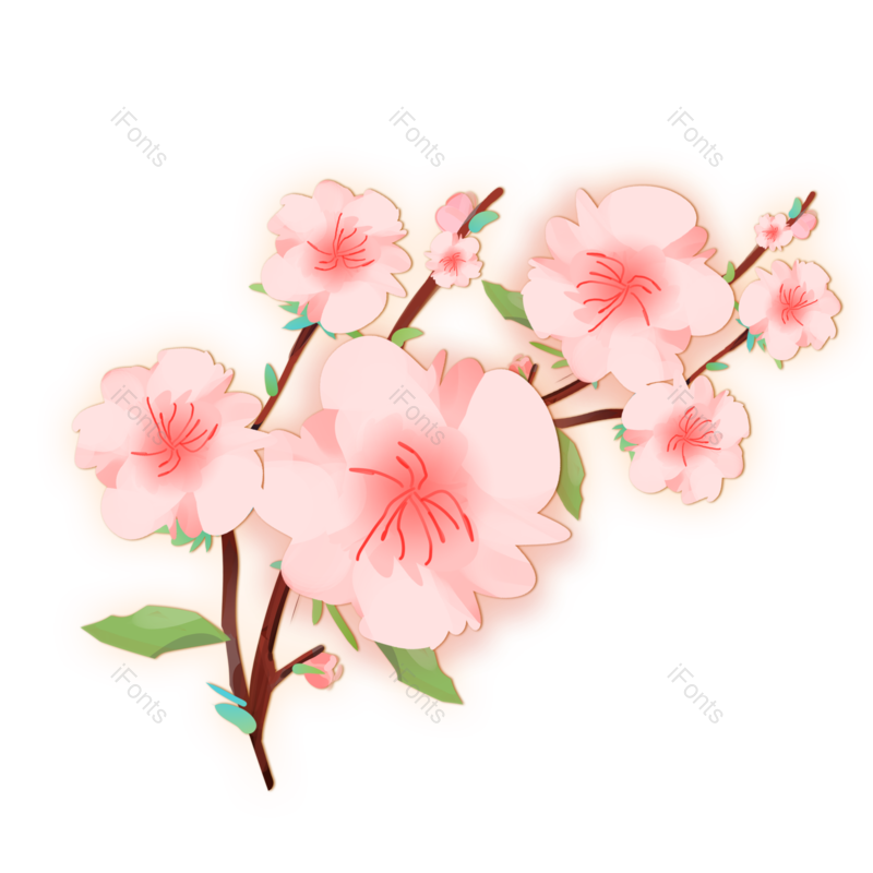 清新图片,文艺元素,鲜花PNG,春季免抠素材